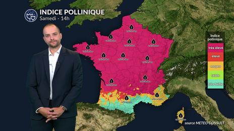 Bulletin allergo-pollinique pour le samedi 12 juillet