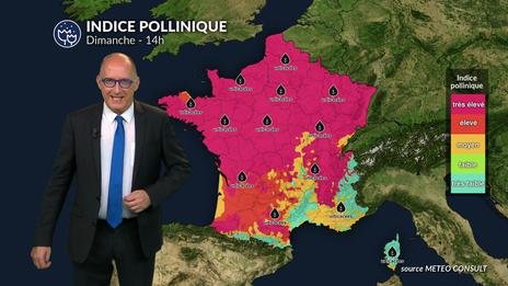 Bulletin allergo-pollinique pour dimanche 13 juillet
