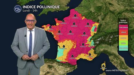 Bulletin allergo-pollinique pour lundi 14 juillet : le ciel se couvre, mais les allergies persistent