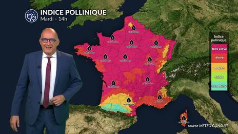 Bulletin allergo-pollinique pour mardi 15 juillet : vigilance accrue au nord, répit relatif au sud-ouest