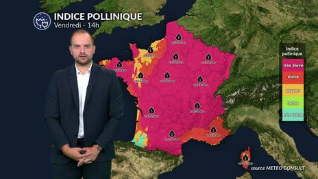 Bulletin allergo-pollinique du vendredi 18 juillet