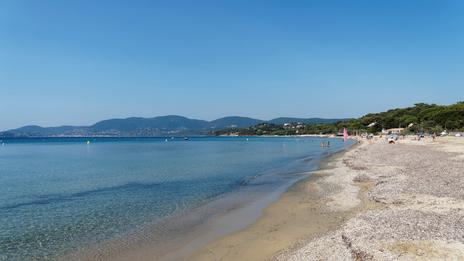 Cavalaire-sur-Mer : des sangliers en balade au milieu des vacanciers sur la plage