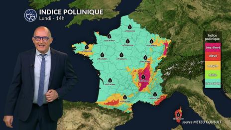 Bulletin allergo-pollinique du lundi 21 juillet : une accalmie relative sous les averses mais des risques localisés persistent