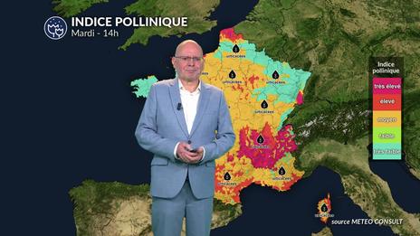 Bulletin allergo-pollinique pour mardi 22 juillet : une accalmie cette semaine grâce au temps perturbé