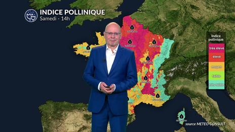 Bulletin allergo-pollinique pour samedi 26 juillet juillet : répit humide pour les allergiques