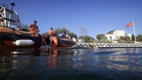 Des hippocampes dans le port de plaisance de Frontignan : une surprise inattendue sous la surface