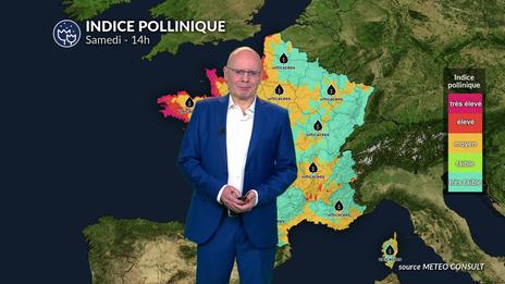 Bulletin allergo-pollinique pour le samedi 2 août et le week-end : nouvelle aggravation attendue dimanche