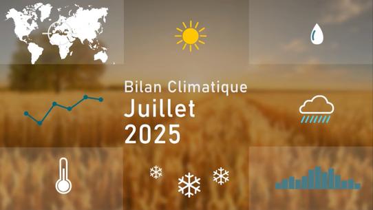Bilan de juillet 2025 en France : de la canicule à une relative fraîcheur humide