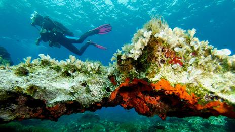 Plongée et tourisme : ces villes européennes où combiner découvertes sous-marines et visites culturelles