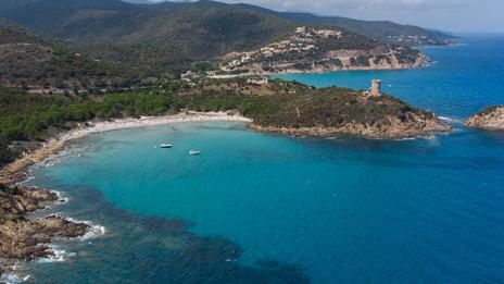 Baignade à Fautéa, entre pins et tour génoise