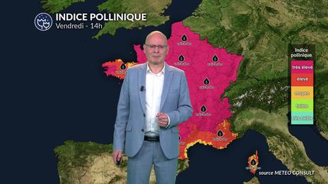 Bulletin allergo-pollinique pour le vendredi 8 août : une vigilance accrue face à la chaleur caniculaire