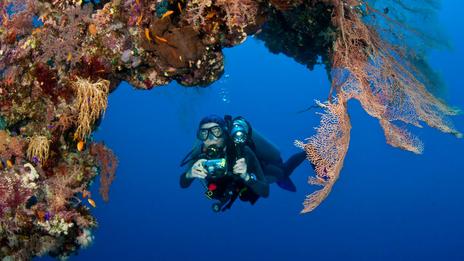 Seychelles : une alliance inédite pour régénérer les récifs coralliens grâce à la technologie