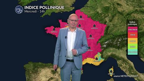 Bulletin quotidien des concentrations polliniques en France pour ce mercredi 13 août