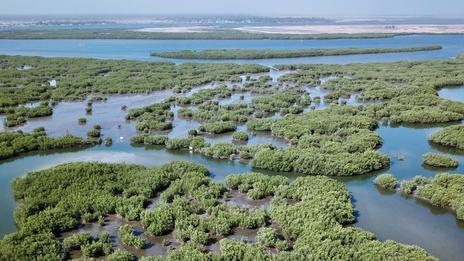 Baie du Sine Saloum : entre mangroves, bolongs et navigation africaine hors du temps