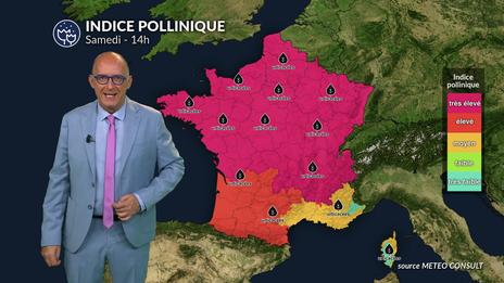 Bulletin quotidien des concentrations polliniques en France pour ce samedi 16 août