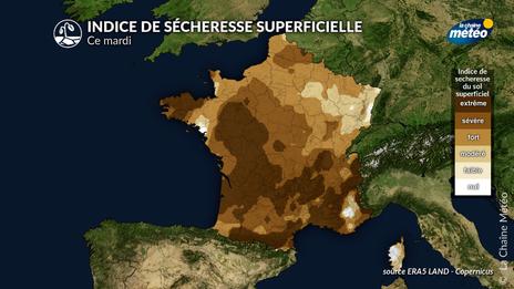 Le retour des pluies bénéfiques pour la nature, mais attention aux ruissellements