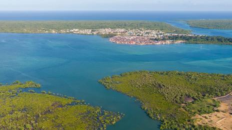 Baie de Pemba : escale africaine entre rivage corallien, eaux profondes et traditions swahilies