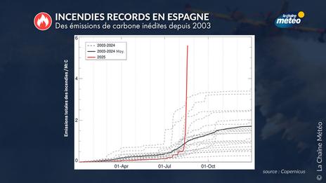 Incendies en Espagne : des émissions de carbone inédites depuis 2003