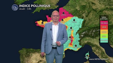 Bulletin allergo-pollinique pour le jeudi 21 août