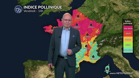 Bulletin allergo-pollinique pour le vendredi 22 août