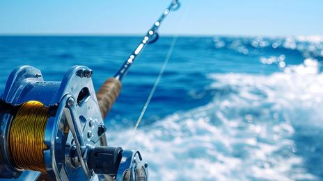 Faut-il un permis pour pêcher en mer ?