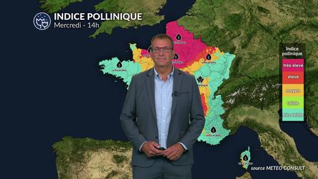 Bulletin allergo-pollinique pour le mercredi 27 août
