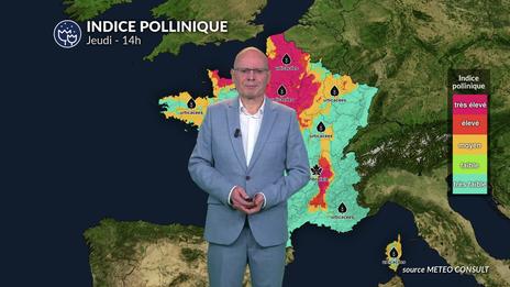 Bulletin allergo-pollinique pour le jeudi 28 août