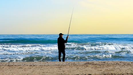 Surfcasting de rentrée : bars et dorades à portée de canne