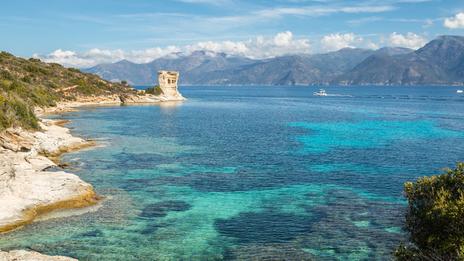 Parc naturel marin du Cap Corse : une règlementation au service de la préservation