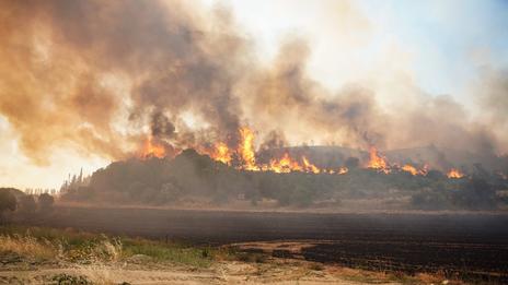 Incendies extrêmes en Méditerranée : le climat intensifie les risques