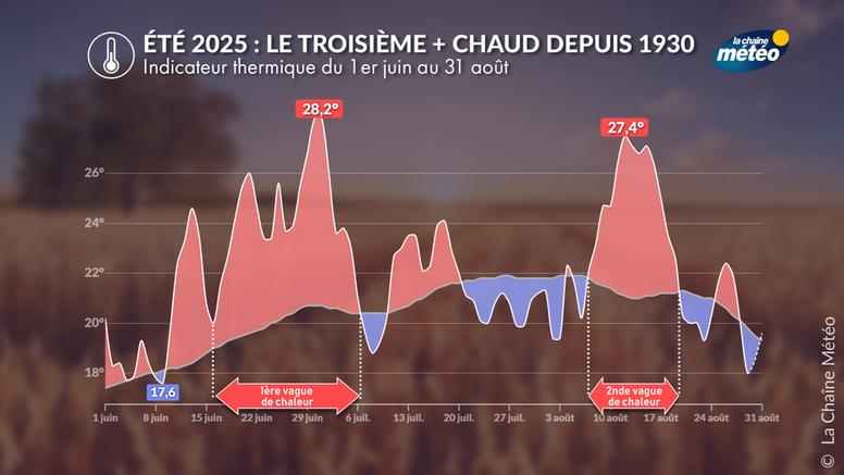 Eté 2025 : au 3ème rang des plus chauds, jusqu'à 43°C dans le sud-ouest