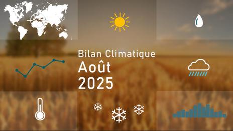 Bilan météo d'août 2025 : vague de chaleur exceptionnelle au sud, entre sécheresse et records de pluie au nord