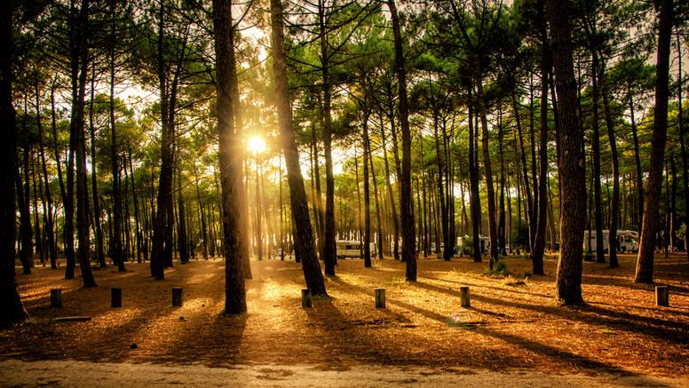Canicules et coups de chaud : pourquoi le sud-ouest de la France est si exposé ?