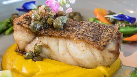 À table : recettes d’octobre autour du lieu noir et des coquillages