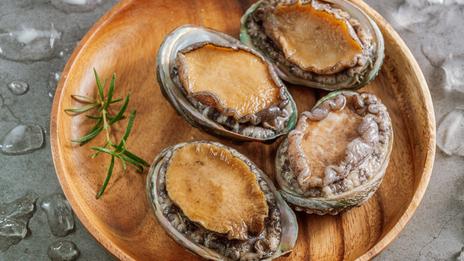 Haliotis Turboculata ou l'ormeau : l’oreille de mer
