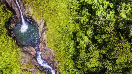 Randonnées et cascades dans les îles de Guadeloupe : les plus beaux sites à découvrir