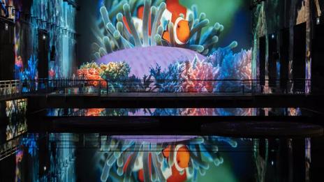 Océan : un voyage fascinant au cœur des abysses aux Bassins des Lumières de Bordeaux