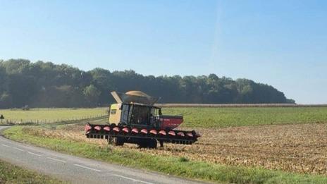 Agriculture : une météo aux petits oignons pour les travaux d'automne