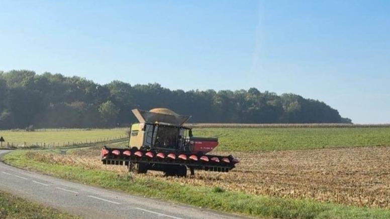 Agriculture : une météo aux petits oignons pour les travaux d'automne