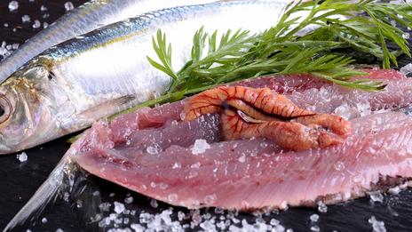 Quels poissons peut-on encore consommer sans menacer les océans ?