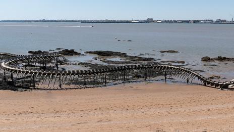 Saint-Brévin-les-Pins : à la rencontre du Serpent d’Océan et des œuvres de mer