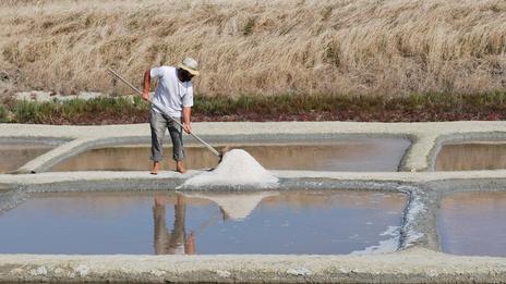 L'île de Ré, le pays de l'or blanc