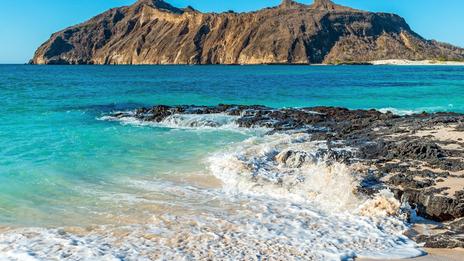 En novembre, direction les îles Galápagos !