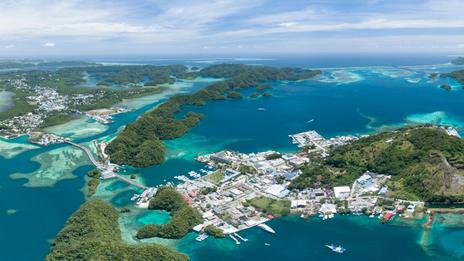 Palau, joyau bleu du Pacifique : un paradis pour plongeurs