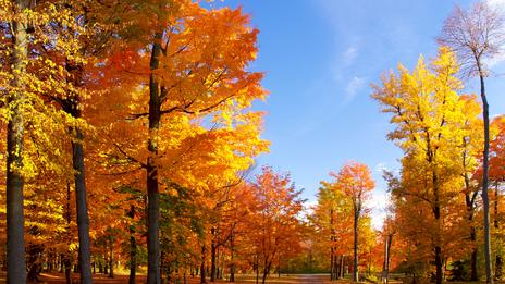Grande douceur en France la semaine prochaine : jusqu'à 25°C dans le sud-ouest