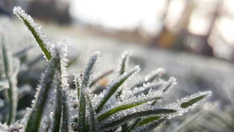 Les gelées se font attendre : moins de 10 % du territoire français concerné, une situation exceptionnelle