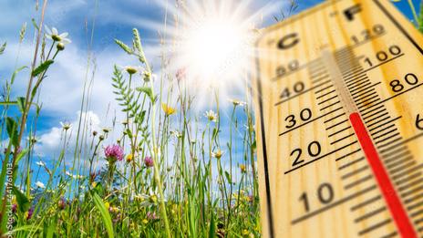 Épisode de douceur exceptionnelle : pourrait-on battre des records ?