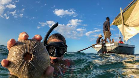 Bazaruto, sanctuaire du marlin : pêche sportive et nature intacte au Mozambique