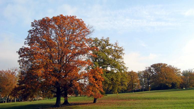 Douceur exceptionnelle, quelles conséquences sur la faune et la flore ?