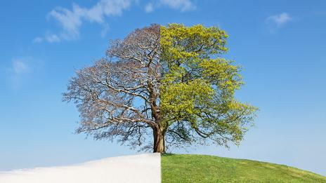 Pourquoi les températures vont autant fluctuer ces prochains jours ?